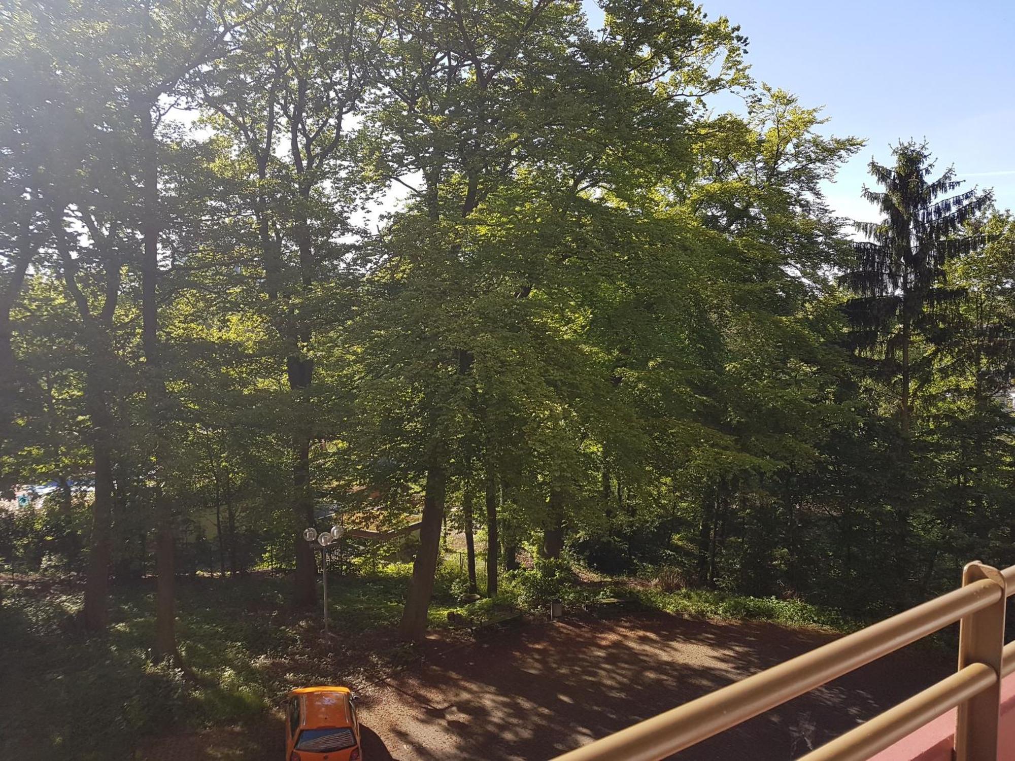 Apartment 707 Mit Pool Und Sauna 兰施泰因 外观 照片