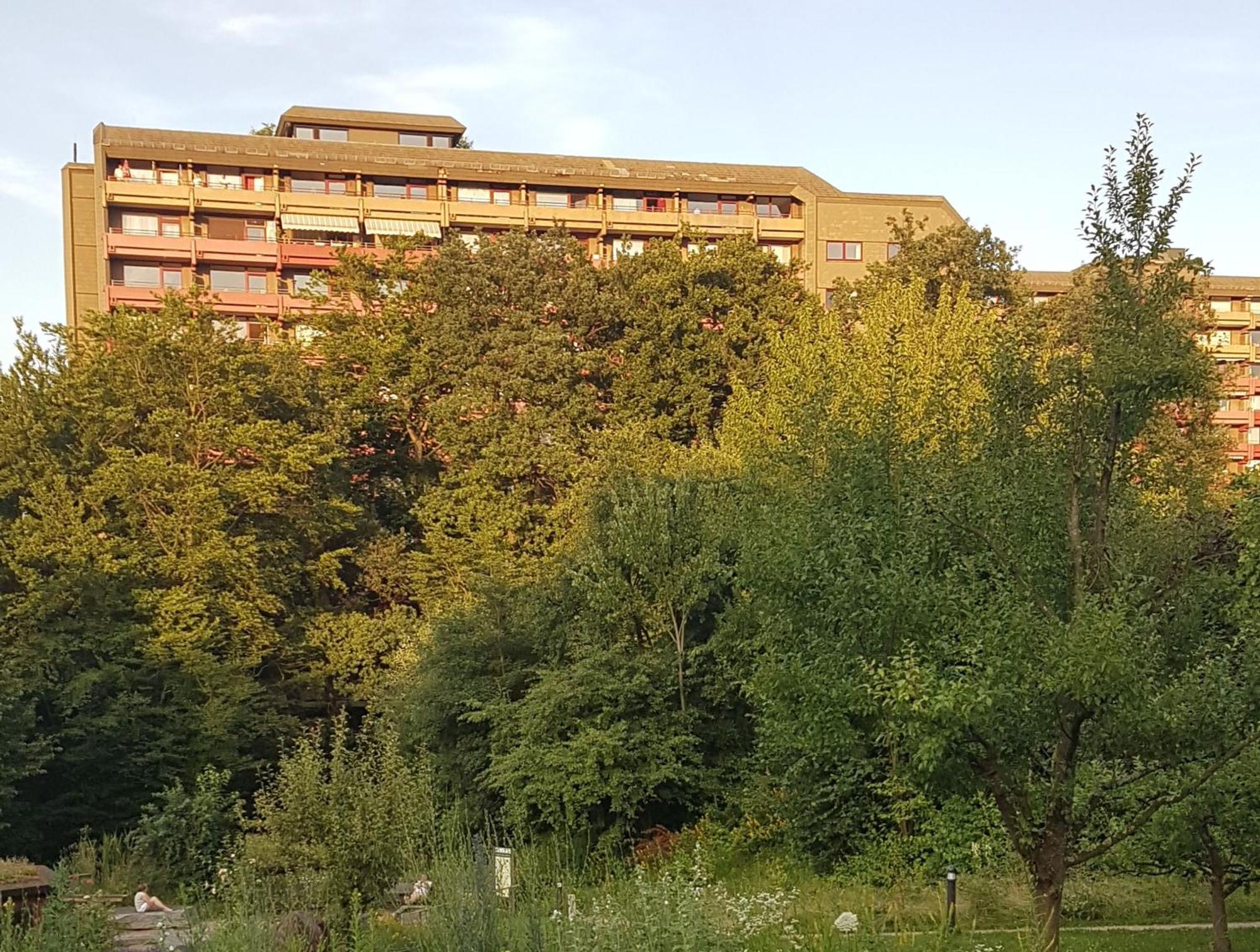 Apartment 707 Mit Pool Und Sauna 兰施泰因 外观 照片